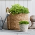 Beachcomber Handwoven Seagrass Basket Collection