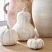 Handcrafted Terracotta Pumpkins