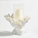 Coral Candleholders