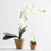Mini Faux Potted Orchid 