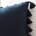Tassel Trim Indoor-Outdoor Pillows