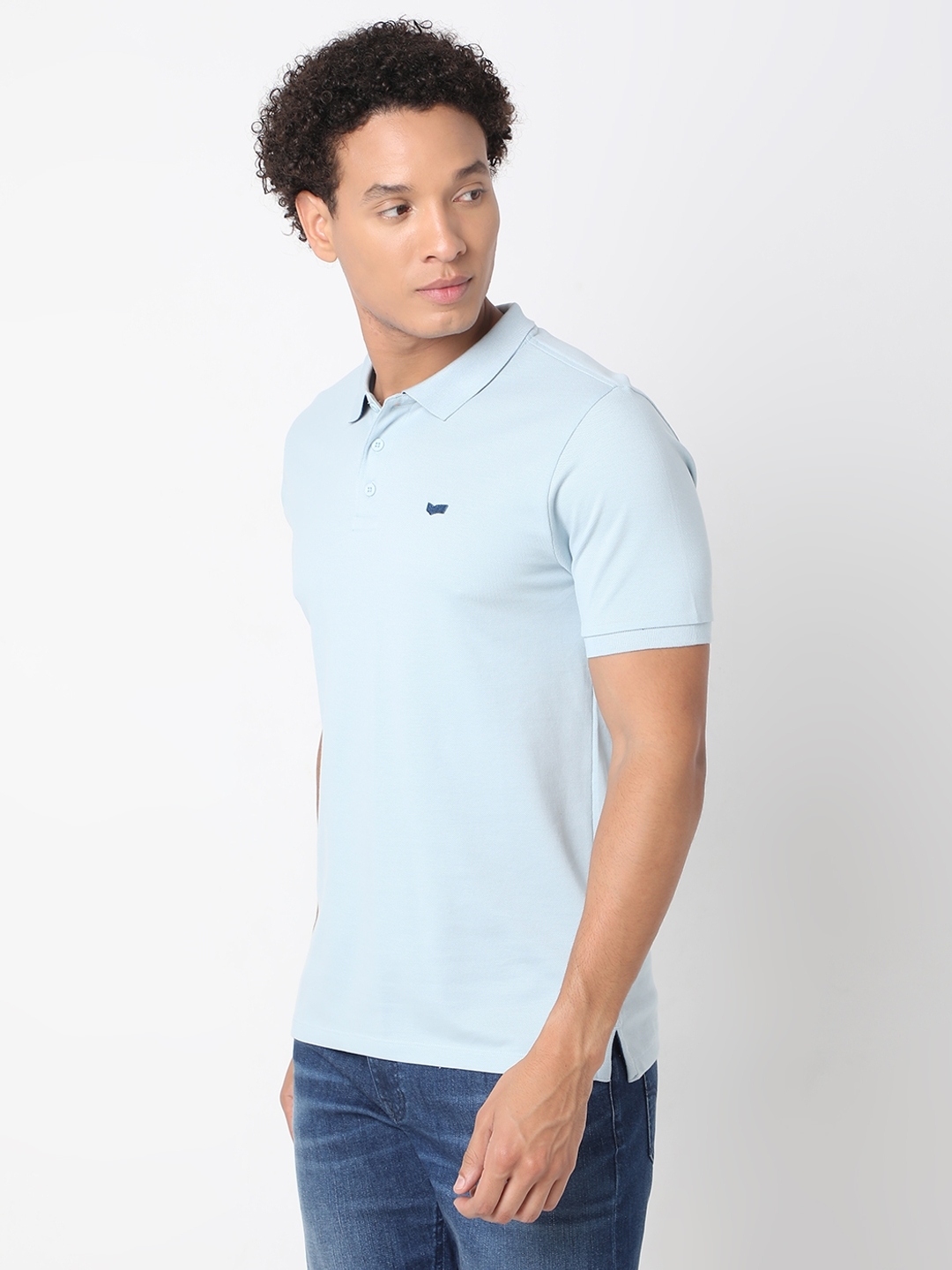 Regular Fit Half Sleeve Solid Cotton Polo T-Shirt