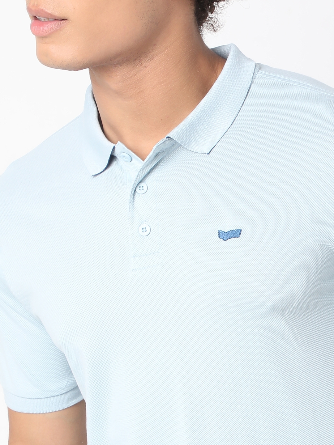 Regular Fit Half Sleeve Solid Cotton Polo T-Shirt