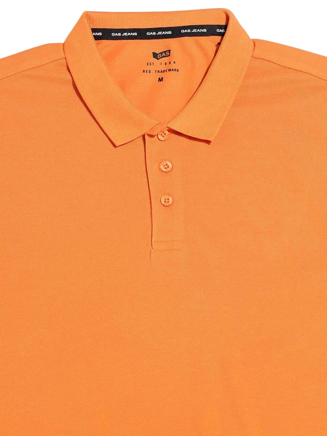 Short Sleeve Regular Fit Polo Tshirt