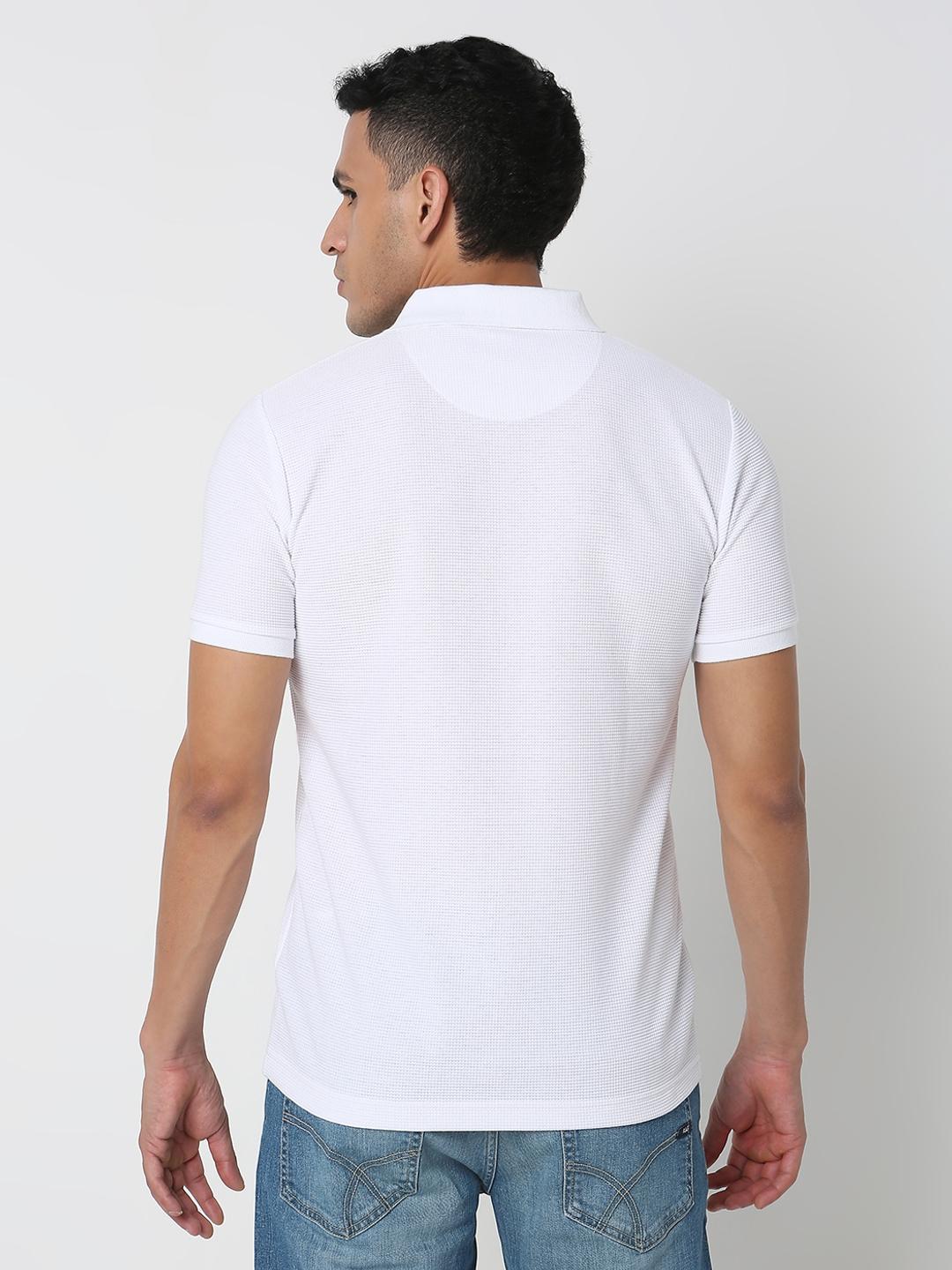 Regular Fit Solid Polo T-Shirt with Short Sleeve