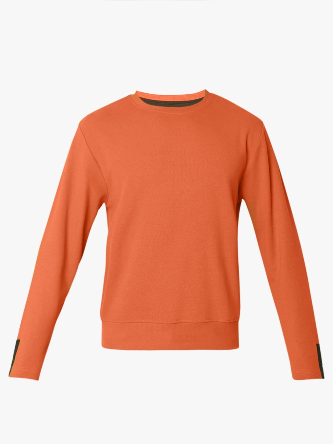 Regular Fit Full Sleeve Rib Neck Solid Knitted T-Shirt