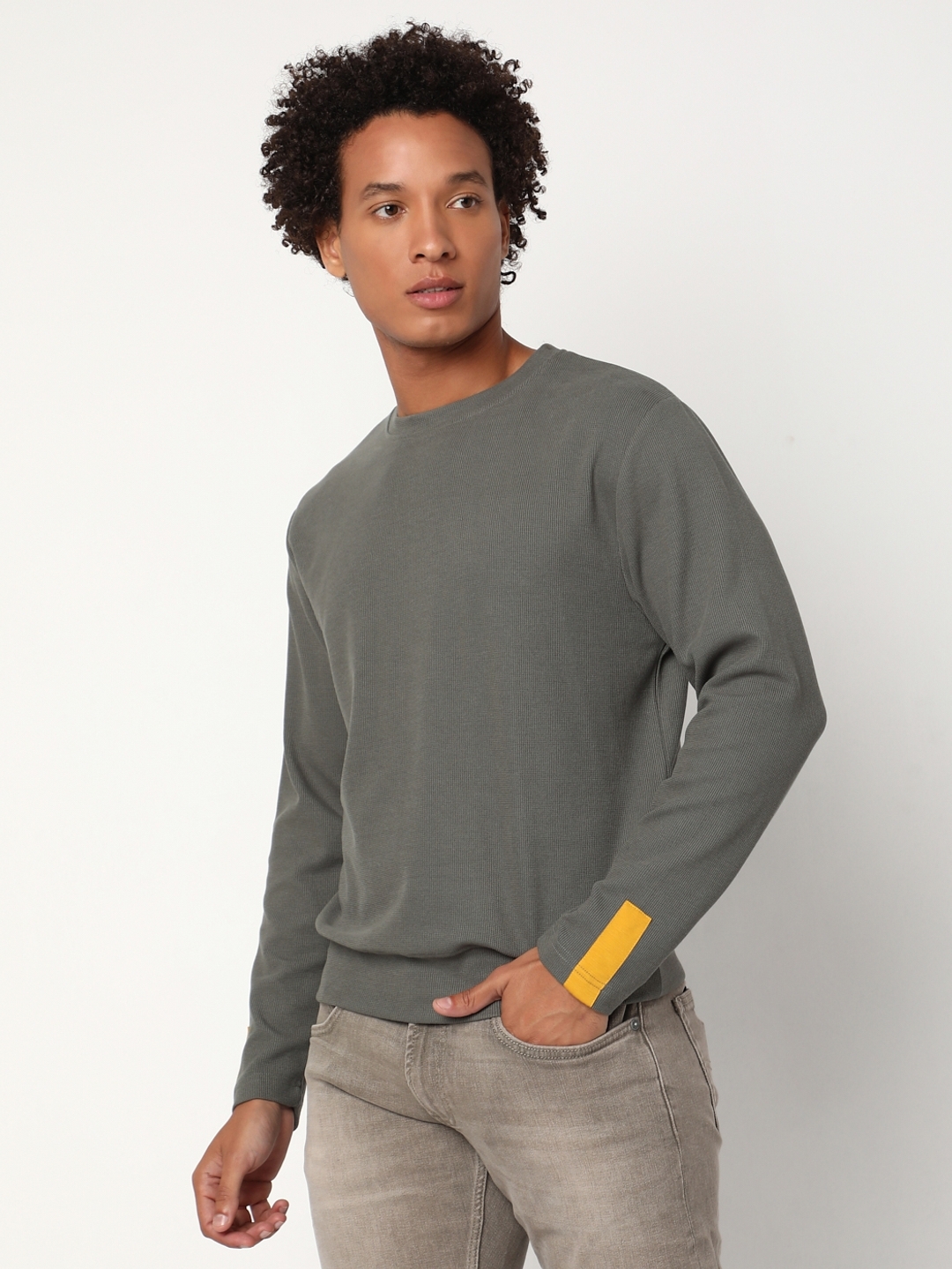 Regular Fit Full Sleeve Rib Neck Solid Knitted T-Shirt