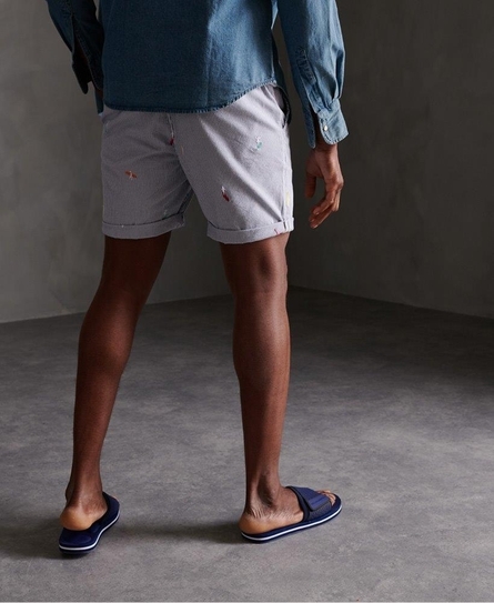 SUNSCORCHED AOE CHINO SHORT